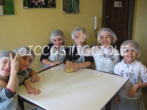 IMG 4331