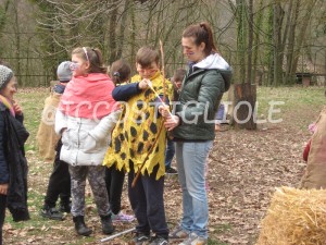 IMG 4354