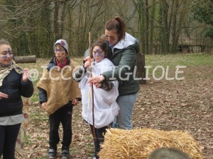 IMG 4361