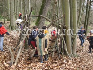 IMG 4375