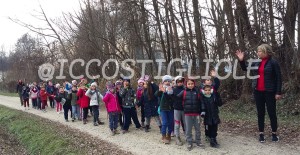 b_300X0_300X0_16777215_1_0_images_ARTICOLI_DIDATTICA_SCUOLE_PLESSI_PRIMARIA_CASTAGNOLE_uscita1-min.jpg
