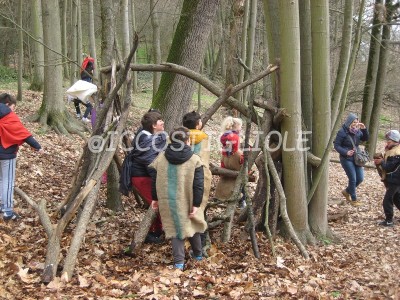IMG 4375